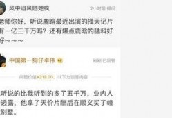 鹿晗台湾卓伟爆料视频,揭秘明星幕后真相