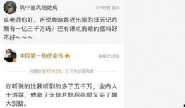 鹿晗台湾卓伟爆料视频,揭秘明星幕后真相