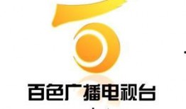 百色电视台新闻爆料,重大新闻事件引发社会关注