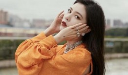 娱记爆料陈晓赵丽颖视频,甜蜜瞬间引网友热议