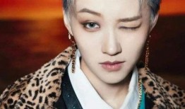 娱乐八卦爆料刘雨昕,娱乐八卦中的闪耀新星