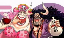 国风路飞技能爆料视频,传统元素与现代冒险的完美融合