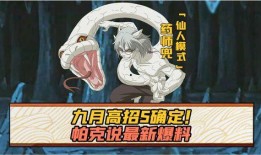 帕克忍者最新爆料