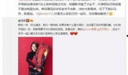 卓伟爆料马苏视频的视频,真相与争议交织