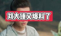 刘大锤爆料的人是谁呀视频,神秘人物身份大起底