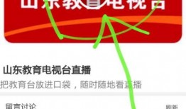 山东教育直播在线观看,云端课堂，畅享优质教育资源