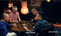 圆桌派在线观看,深度探讨，思想碰撞的视听盛宴