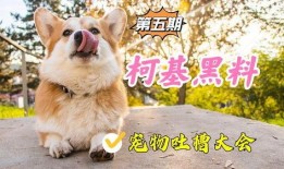 宠物黑料爆料视频,视频爆料揭露宠物行业惊人内幕