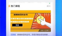短视频创业爆料交流,爆料交流背后的创业风云