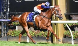 四川马小姐最新爆料视频,揭秘事件背后惊人真相