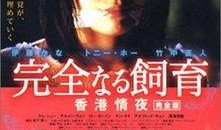 禁室欲培2在线观看,在线观看，激情燃烧的禁忌之旅