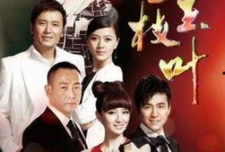 金枝玉叶电视剧在线观看,宫廷权谋与情感纠葛的华丽演绎