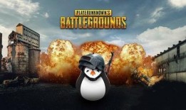 吃鸡二周年爆料视频下载,二周年狂欢来袭！吃鸡游戏爆料视频深度解析