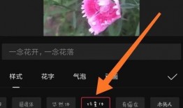 剪映爆料视频字幕,揭秘视频字幕制作背后的秘密