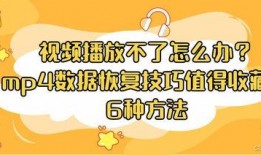 妈妈爆料赊账视频播放,揭秘赊账背后的惊人真相