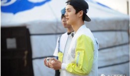 鹿晗台湾卓伟爆料视频,揭秘明星幕后真相