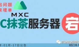 6月份骗局爆料案例视频,视频曝光最新诈骗案例警示录