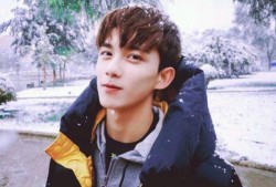 圈内人爆料吴磊向涵之,揭秘娱乐圈新恋情传闻