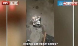 网红必须死吃瓜的雪诺,网红吃瓜达人，揭秘娱乐圈幕后风云