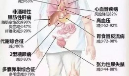 女子解剖视频在线观看,在线观看女性身体结构教学视频