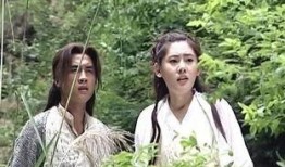 大旗英雄传在线观看,重温江湖传奇，共赴英雄之旅