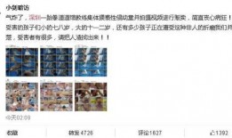 松柏道馆爆料事件视频大全,视频大全揭秘真相