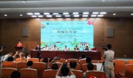 海南定安新闻爆料事件,真相追踪与舆论漩涡