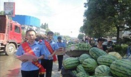 固始网红吃瓜事件,揭秘网络舆论背后的真相与争议