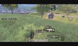 击杀秀最新爆料视频完整版,揭秘完整版视频中的惊险瞬间与幕后故事