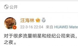 西瓜娱乐爆料,明星幕后故事大揭秘