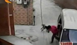 最新偷鱼爆料事件新闻视频,视频揭露惊人真相，渔民权益再引关注