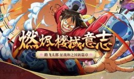 国风路飞技能爆料视频,传统元素与现代冒险的完美融合