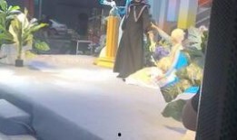 夏芽爱莉在线观看,青春校园的甜蜜邂逅