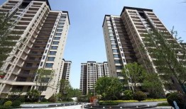 石家庄新房爆料最新消息,最新爆料揭示热门楼盘及价格走势