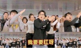 皖北一姐爆料视频大全集,揭秘幕后真相与精彩瞬间