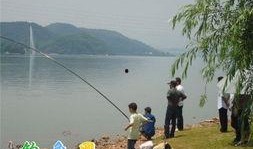 老范钓鱼爆料视频大全