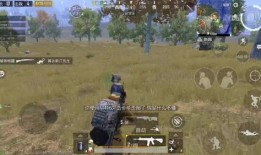 击杀秀最新爆料视频完整版,揭秘完整版视频中的惊险瞬间与幕后故事