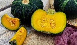 免费吃网红瓜的网站推荐,畅享热门资讯，轻松解锁娱乐盛宴