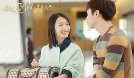 遇见爱情的利先生全集在线观看,浪漫邂逅，情感纠葛全记录