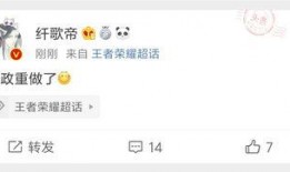 爆料金皮完整视频,真相与内幕大曝光