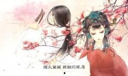 风花雪月 在线观看,浪漫邂逅，穿越时空的唯美传奇