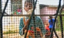 爆料缅甸大爷视频播放,视频走红网络，揭秘真实生活点滴