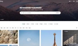 爆料的有趣视频素材网站,趣味无限，创意无限！