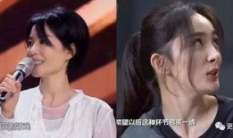 离异女星爆料视频,视频爆料背后的情感纠葛与真相