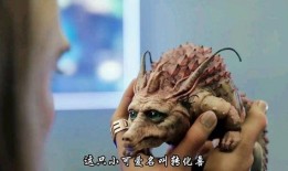 娱乐吃瓜酱嘴兽,揭秘娱乐圈那些不为人知的幕后故事