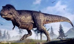 蛋仔恐龙爆料视频大全最新,揭秘神秘恐龙世界