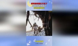 面包爆料视频大全最新下载,最新下载热门内容盘点