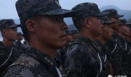 热点爆料兵哥哥视频下载,热点爆料视频下载背后的故事