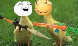 鸭王电影在线观看免费,揭秘网络观影新潮流