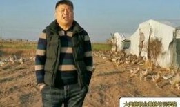 摄影老李前期爆料视频大全